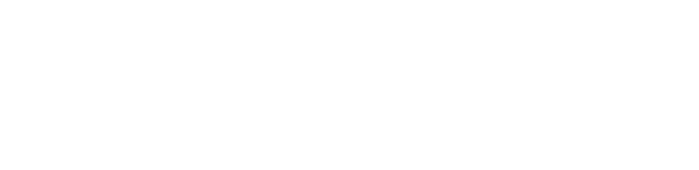 Dynamics Payments